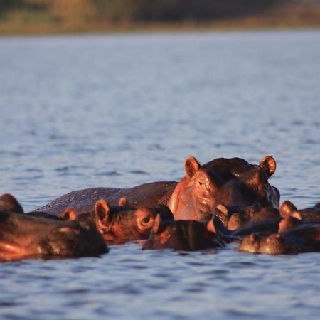 Lake Naivasha Simba Lodge 奈洛比 外观 照片