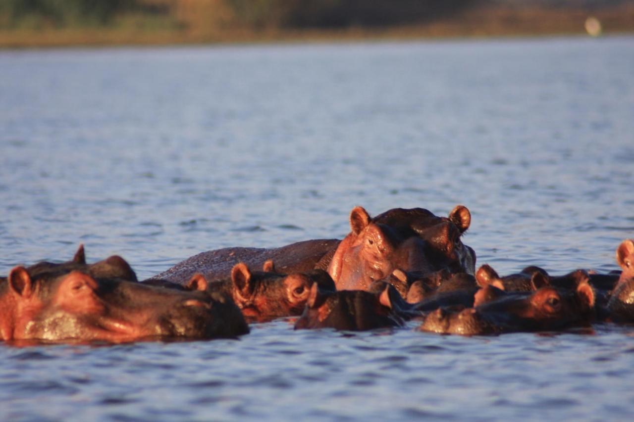 Lake Naivasha Simba Lodge 奈洛比 外观 照片